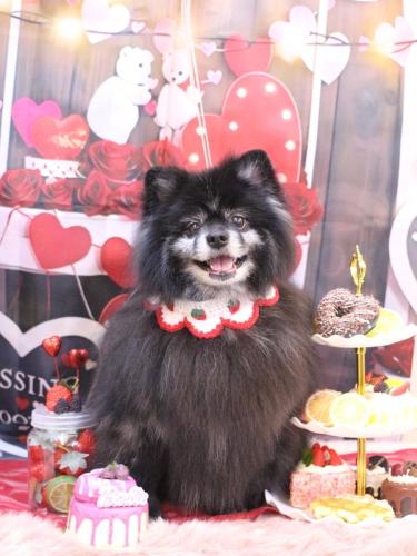 20250218ふわりちゃん